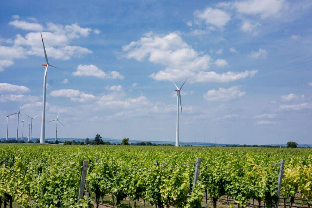 Fotografie eines Windparks im Rahmen von Repowering von Windkraftanlagen
