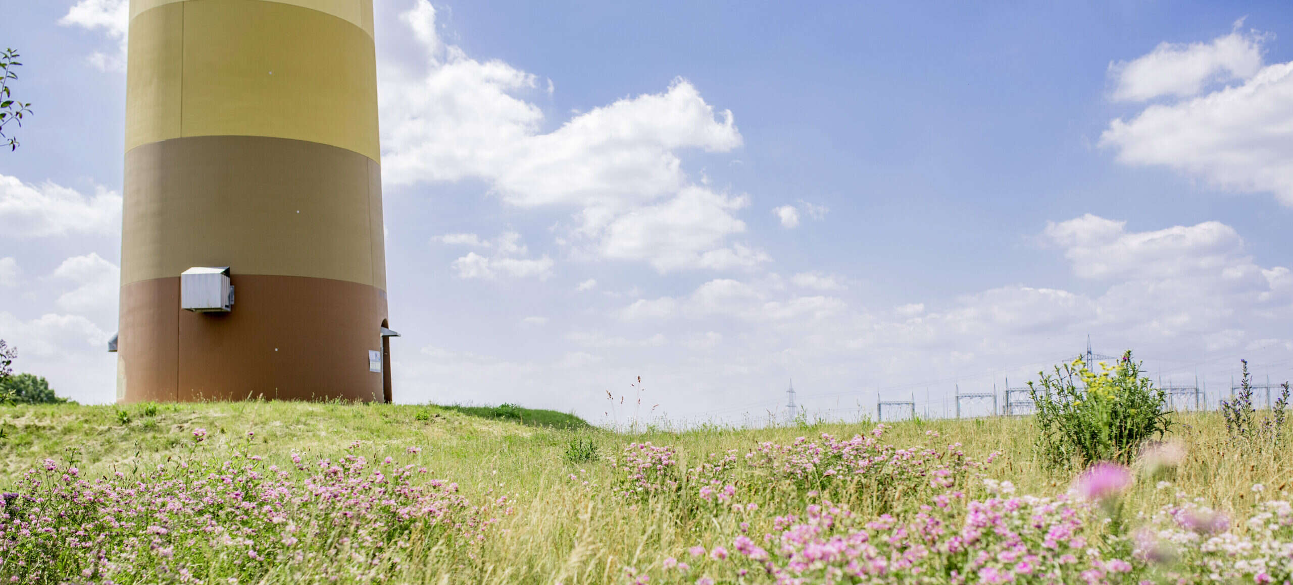 Fotografie einer Windkraftanlage für Windenergie und Artenschutz